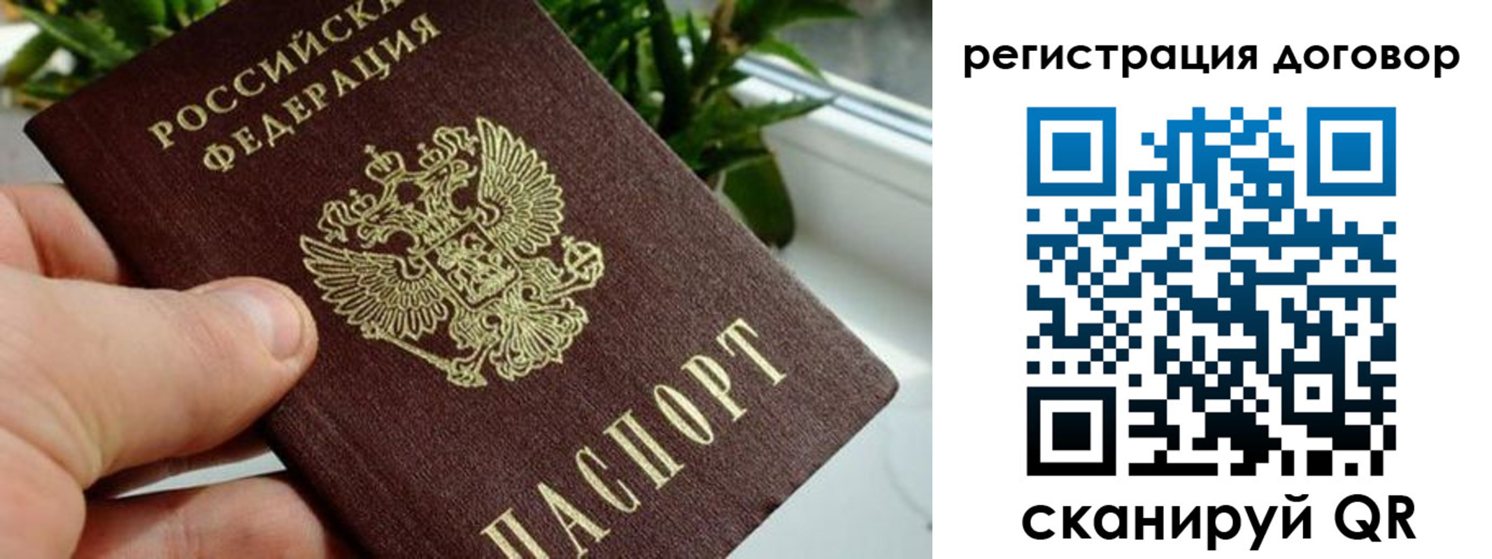 прописка ребенка в Нелидово